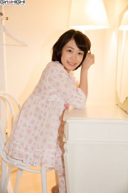 野花集在线观看免费版